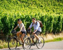 Le Paysage &agrave; Bicyclette - Pays d'Eguisheim et de Rouffach