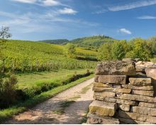 Vignoble et Ch&acirc;teaux Eguisheim Voegtlinshoffen